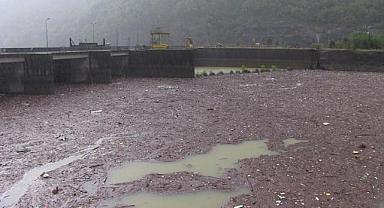 Artvin'de şiddetli yağış