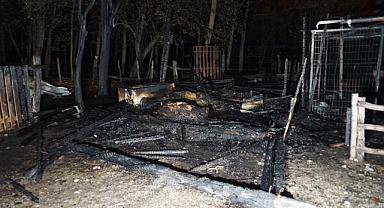 At çiftliğinde çıkan yangında hayvanlar telef oldu