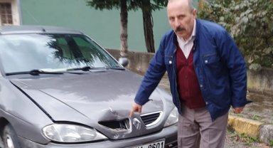 Ayı, seyir halindeki otomobile saldırdı