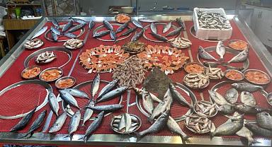 Balık fiyatları ne kadar?