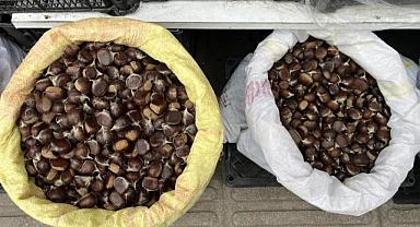 Bu kestane cep yakıyor: Kilosu 300 lira