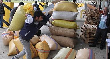 Fındık fiyatları 110 TL'ye mi gidiyor!