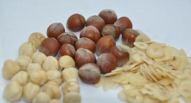 Fındık Fiyatları Değişti mİ? Fındık Fiyatları Ne Kadar?