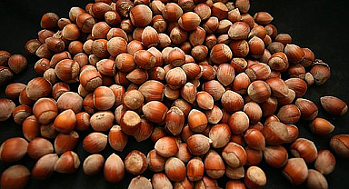 Fındık fiyatları kaç TL?