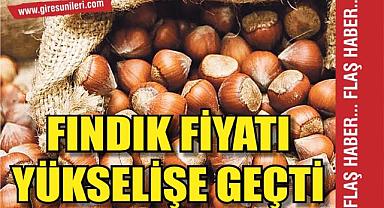 Fındık fiyatları tekrar yükselişe geçti! Fındık fiyatları ne kadar?