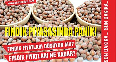 Fındık piyasasında panik! Fındık fiyatları düşüyor mu? Fındık fiyatları ne kadar?