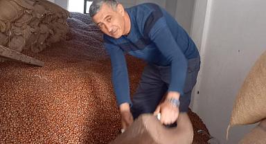 Fındık Üreticileri Fiyat Artışı Bekliyor