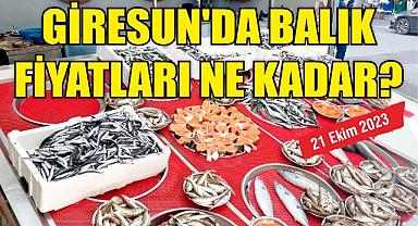 Giresun'da balık fiyatları ne kadar? 21 Ekim 2023