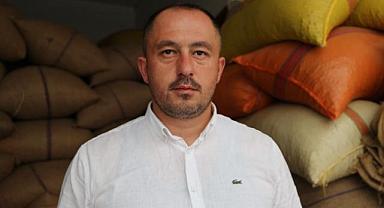 Giresun'da fındık fiyatları stabil hale gelmeye başladı