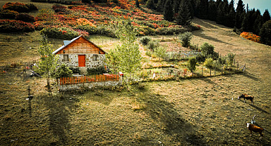 Giresun yaylalarında güz güzelliği