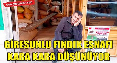 Giresunlu Fındık Esnafı Kara Kara Düşünüyor