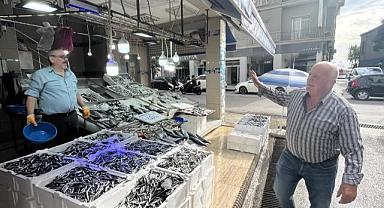 Hamsi 40 liraya düştü