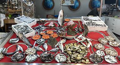 Hamsi 50 TL! Tezgahlarda çeşit bol