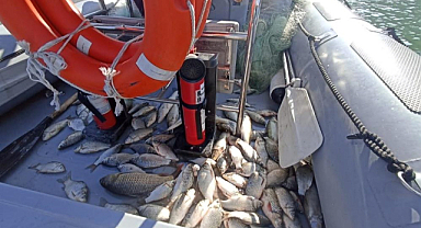 Jandarma 200 kilo balığı göle bıraktı