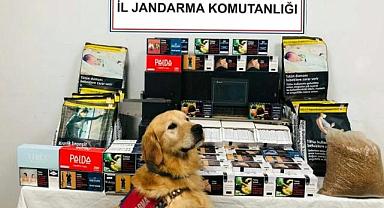 Jandarma ve emniyetten ortak baskın