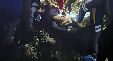 Kamyonet yayla yolundan uçuruma yuvarlandı: 3 yaralı