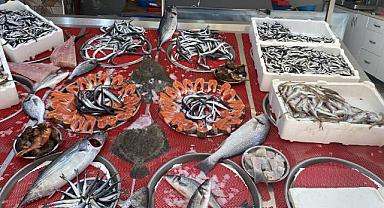 Karadeniz Yerli... Yetişen Alıyor! En ucuzu 50, En Pahalısı 500 TL