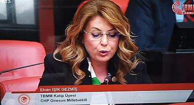 Milletvekili Gezmiş fındık üreticisinin yanında