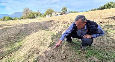 Mutluluk iksirini kuraklık vurdu