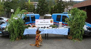 Rize’de 5 ilçede eş zamanlı operasyon: 14 gözaltı