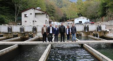 Su ürünleri yetiştiriciliğinde ekonomi atağı