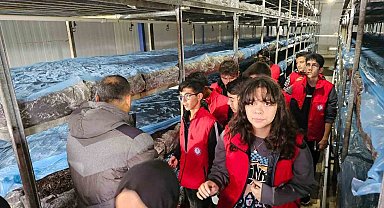 Tarım öğrencileri mantar üretimini inceledi