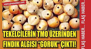 Tekelcilerin TMO üzerinden fındık algısı 