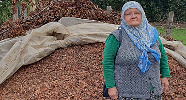 TMO'dan fındığımı geri istiyorum!