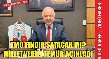 TMO fındık satacak mı? Milletvekili Temür açıkladı