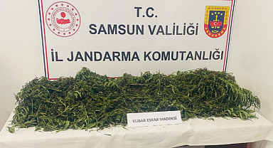 Uyuşturucu operasyonu: 1 tutuklama