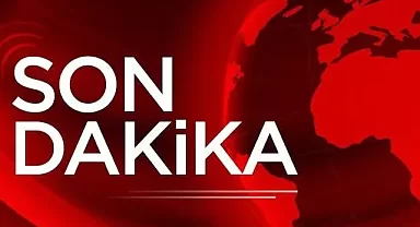 Giresun'da fındık bahçesinde feci ölüm!