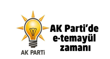 AK Parti'de Elektronik Temayül Dönemi