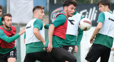 Çotanak, Kocaeli’ye Bileniyor