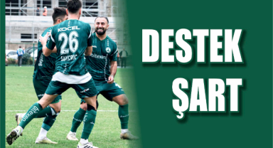 Destek Şart