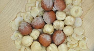 Fındık fiyatları düştü mü? Fındık fiyatları ne kadar?