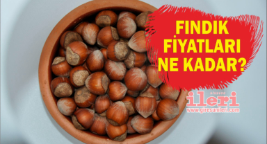 Fındık Fiyatları Ne Kadar?