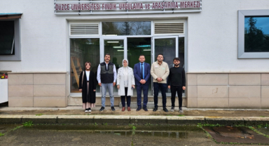 Fındık Verimini Artırmak İçin Çalışıyorlar