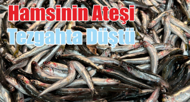 Fırtınadan Kurtulan Hamsinin Ateşi Tezgahta Düştü