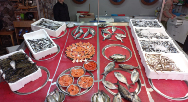 Giresun'da Balık Fiyatları Bugün Ne Kadar?