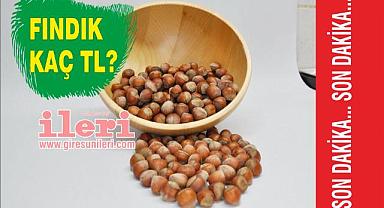 Giresun'da Fındık Fiyatları Ne Kadar?