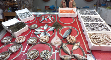 Giresun Güncel Balık Fiyatları