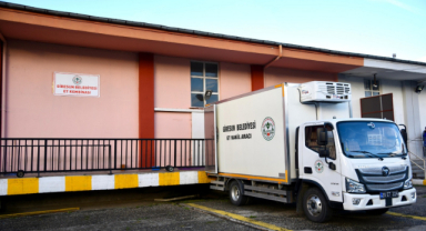 Giresun'da Modern Belediye Mezbahanesi'nden Hijyenik Hizmet