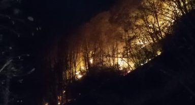 Giresun'da örtü yangını korkuttu