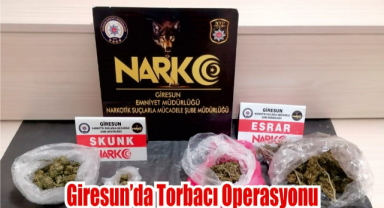 Giresun’da Torbacılar Yakalandı