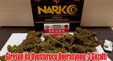 Giresun'da Uyuşturucu Operasyonu: 3 Gözaltı
