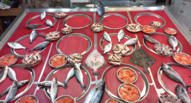 Giresun Güncel Balık Fiyatları