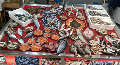 Giresun Güncel Balık Fiyatları