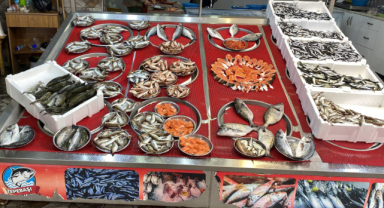 Giresun Güncel Balık Fiyatları