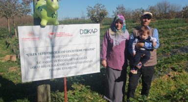 Hibeyle Çilek Üretip Ürün Çeşitliliğini Artırdılar