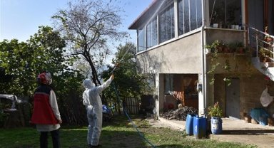 Kahverengi kokarcaya karşı 33 bin hane ilaçlandı